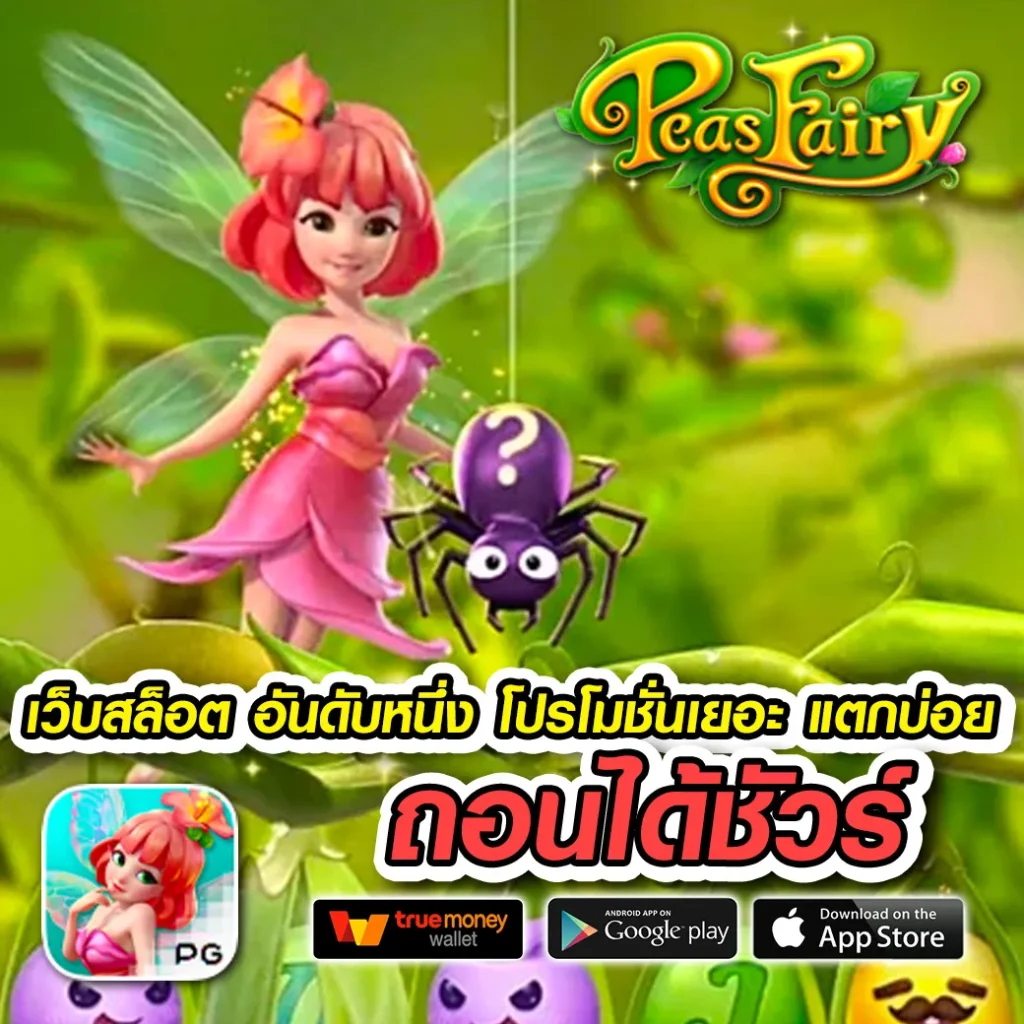 เล่น thbet-911